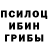 Галлюциногенные грибы ЛСД Haig Play