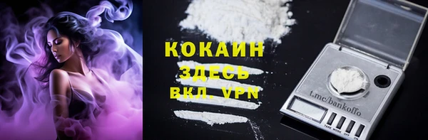 стаф Горнозаводск