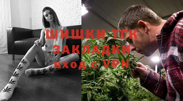 стаф Горнозаводск