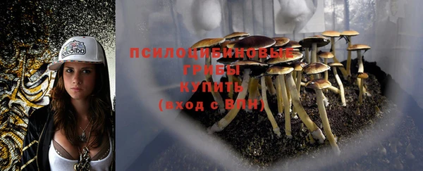 дурь Горняк