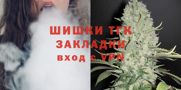 стаф Горнозаводск
